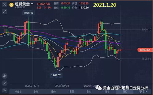 股指期货直播室｜实时盘面分析与操作策略，
