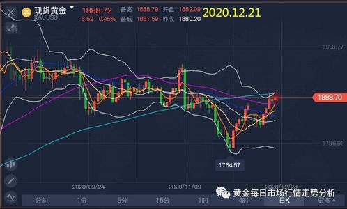 黄金原油股指期货直播｜实盘行情解析与策略分享，黄金原油期货今日操作