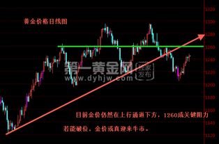 金价维持强势 投资需求稳定，金价持续走强
