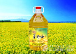菜籽油报价 | 今日最新菜籽油期货价格行情查询（2025年10月10日），菜籽油价格走势