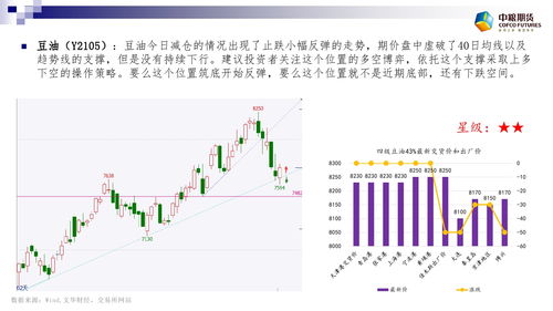 2025年云南铅精矿价格大揭秘：期货投资者必看的市场风向标