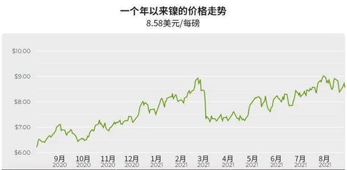 2025年10月10日广东纯镍废料价格深度解析：期货交易者必看的市场密码