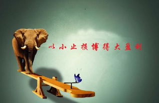《外汇期货与利率期货最新动态：全球流动性环境再生变数》，外汇期货利润