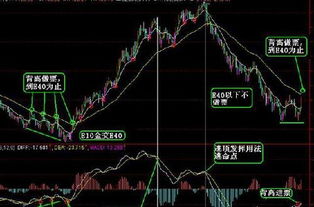 《从MACD到RSI：今日期货市场技术指标实战参考》，期货日内交易macd指标参数最佳设置