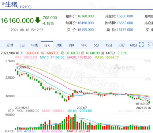 生猪期货 | 近月合约仍有升水 生猪期货主力连续4周K线收阴，生猪期货行情未来走势预测