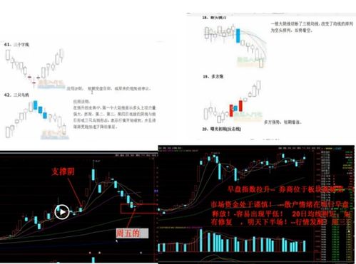 华富之声期货直播_今日K线分析与投资机会_2025年10月11日，华富基金今日消息