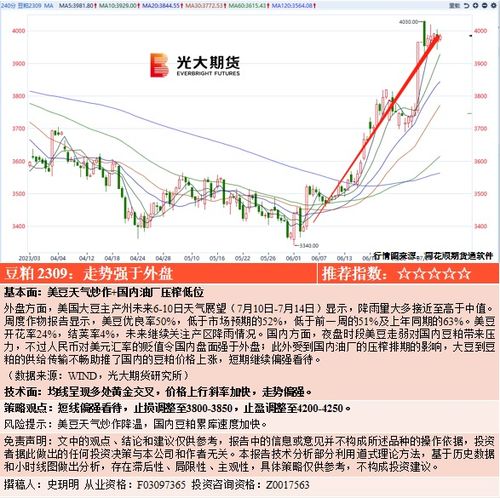 今日期货市场综述_买卖信号与盈利技巧大全