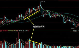 今日主力期货走势｜K线指标与投资策略_2