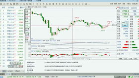 期货之家黄金原油股指期货直播间2025年
