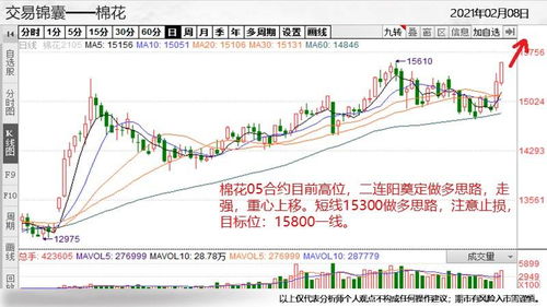 华富之声大豆期货盘中策略2025年10月11日_农产品行情与操作技巧，大豆期货市场