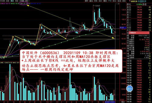 期货之家今日市场观察2025年10月11