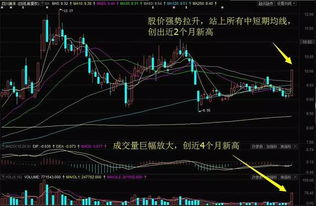 今日期货策略精选{DATE}_实时数据、K线图与技术指标全覆盖，今日期货指数走势图