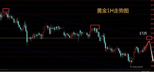 今日期货策略精选2025年10月11日_实时数据、K线图与技术指标全覆盖，2021年10月期货交割日是几号