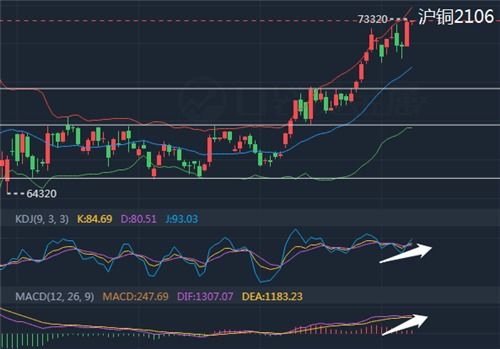 期货之家2025年10月11日盘前分析_主力合约操作策略与风险提示，y2105期货