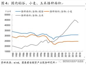政策红利与市场博弈：2026年全球粮价波动下的粳米期货新机遇