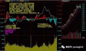 华富之声期货直播间｜2025年10月11
