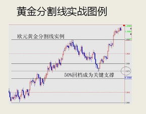 实时行情＋技术指标｜华富之声&期货之家带你看懂2025年10月11日走势，期货2101什么时候到期