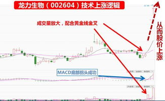 期货之家_华富之声_白银期货短线机会展望_2025年10月13日，白银期货161226