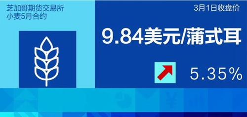 华富之声直播室__美小麦 | 今日美小麦期货价格查询（2025年10月13日），中美小麦价格