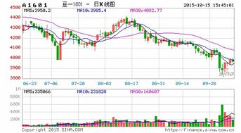华富之声直播室__豆二报价｜今日豆二期货价格行情查询（2025年10月13日）
