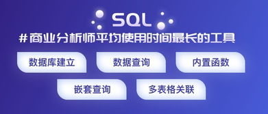 资深分析师在线讲盘，免费策略更新，分析师训练营