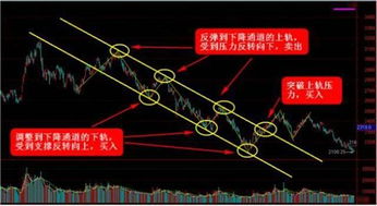 实时行情播报：抓住每一次波动机会，实时行情是什么意思