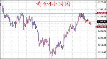 期货之家_华富之声_盈利技巧实战_如何把握回调机会_2025年10月13日，fuhui 期货