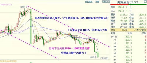 期货之家_华富之声_黄金期货走势突变_投资者需警惕_2025年10月13日，黄金 期货价格