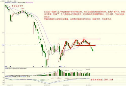 期货之家华富之声投资机会黄金与能源板块双驱动行情2025年10月13日