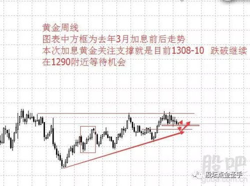 期货之家_华富之声_投资分析：黄金原油同步拉升_2025年10月13日，期货原油黄金下周走势