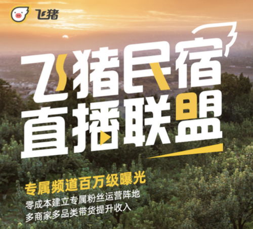 期货之家_华富之声_德指期货直播互动答疑_2025年10月13日，德指期货直播间