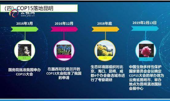 期货之家_华富之声_沥青期货直播解析_2025年10月13日，期货沥青价格行情