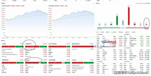 期货之家_华富之声_期货市场综合分析_2025年10月13日，期货财富