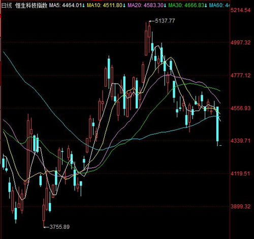恒指直播室：科技巨头财报季风暴，二万点关口挑战者还是守望者？