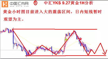 金投外汇网：洞悉全球金融脉搏，解锁财富增长新纪元