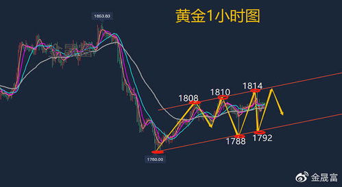 【华富之声】原油期货操作指南 | 华富之声实时行情参考，华尔街原油期货直播