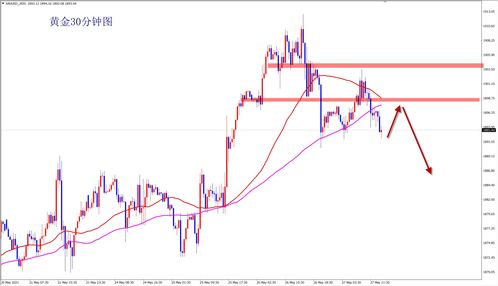 【华富之声】2025.10.14铜期货价