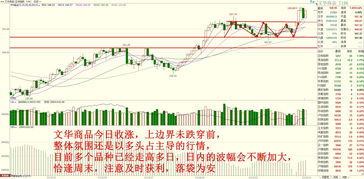 纳指期货实时行情 | 2025年10月15日｜今日走势与实战策略，纳指期货 新浪财经