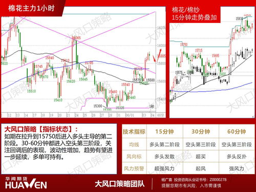 【华富之声】德指期货今日策略（2025年