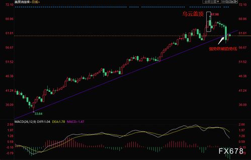 油市交易情绪升温，多头情绪卷土重来，油品市场行情