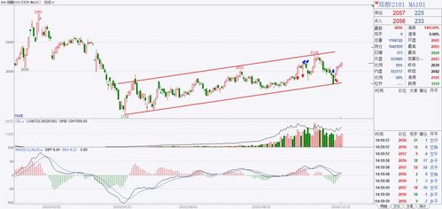 【纳指期货实时行情】2025年10月16