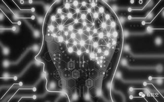 【华富之声】神经伦理与算法交易：2025年10月16日脑机接口技术的合规边界探索