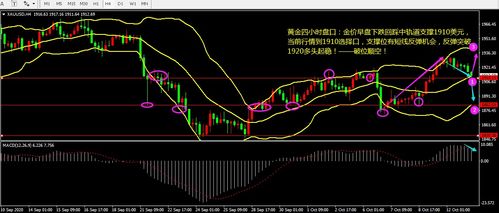 黄金技术面偏强，短线关注2000美元关口，金价冲过1200美元关口 黄金概念股成弱市“避风港”