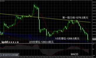 黄金多头主导盘面，短线看涨信号强化，黄金多头买入和空头开仓