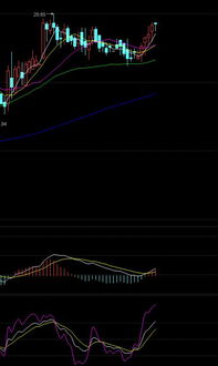 美天然气盘中反弹，库存下降带来支撑，美天然气期货最新消息