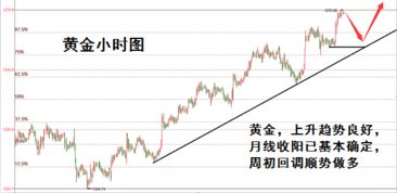 今日天然气行情分析，直播间即时策略分享，今天天然气最新走势
