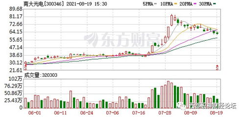 【华富之声】期货市场热点解析（2025年