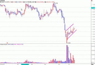 【华富之声】期货技术指标讲解（2025年