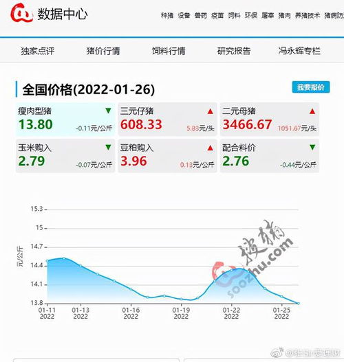 A股今日行情分析2025年10月20日｜华富之声直播室实时解盘基金操作建议
