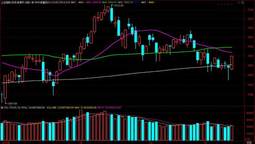 A股三大指数全线收涨，a股三大指数全线高开